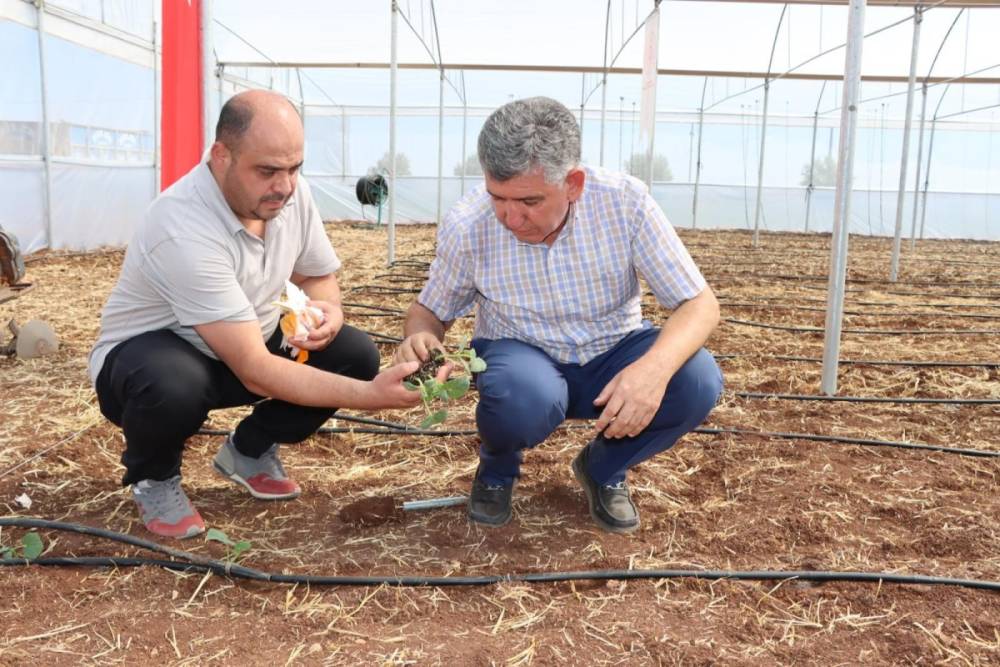 Tarımda yeni dönem başlıyor 