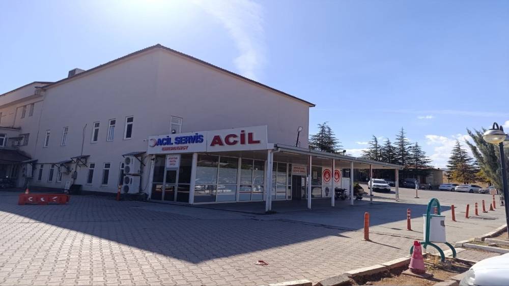 Kahramanmaraş’ta arının soktuğu çocuk hayatını kaybetti