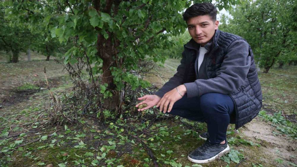 &Ccedil;evreyi beyaza b&uuml;r&uuml;yen fındık b&uuml;y&uuml;kl&uuml;ğ&uuml;ndeki dolu tarım arazilerini vurdu