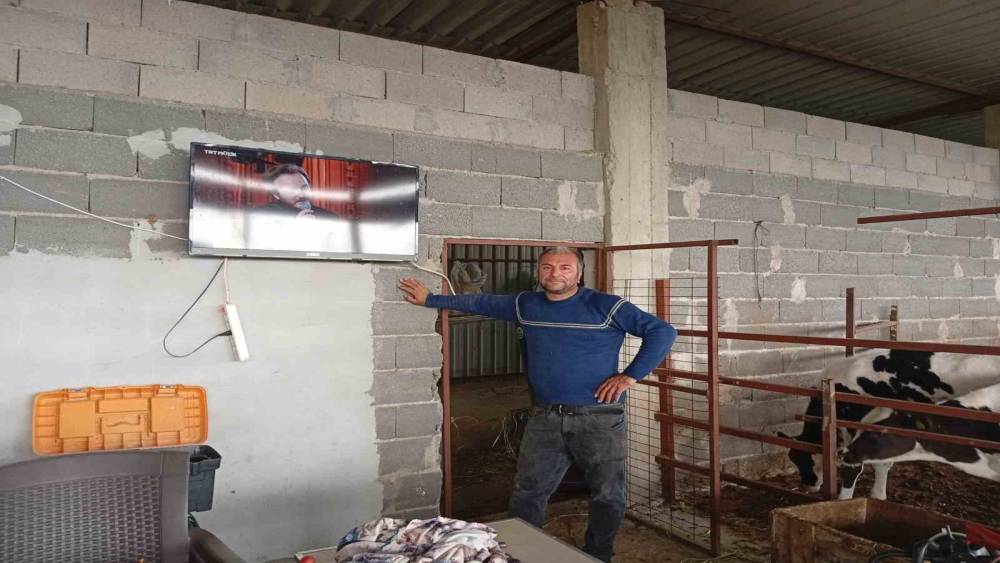 Adanalı &uuml;reticiden s&uuml;t verimi i&ccedil;in ilgin&ccedil; y&ouml;ntem