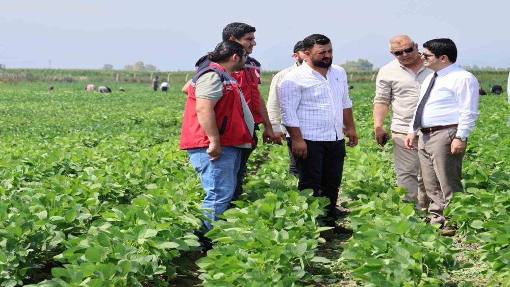 Arsuz&rsquo;da soya ekimi yapıldı