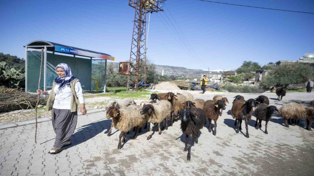 Mersin&rsquo;de 360 yetiştiriciye 9 bin k&uuml;&ccedil;&uuml;kbaş desteği
