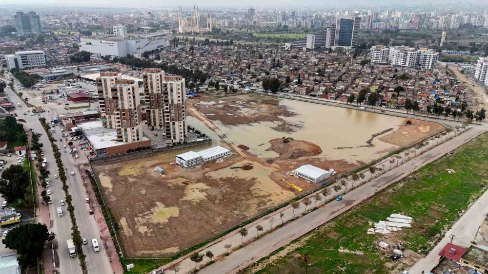 Coniler, Conolara komşu oluyor
