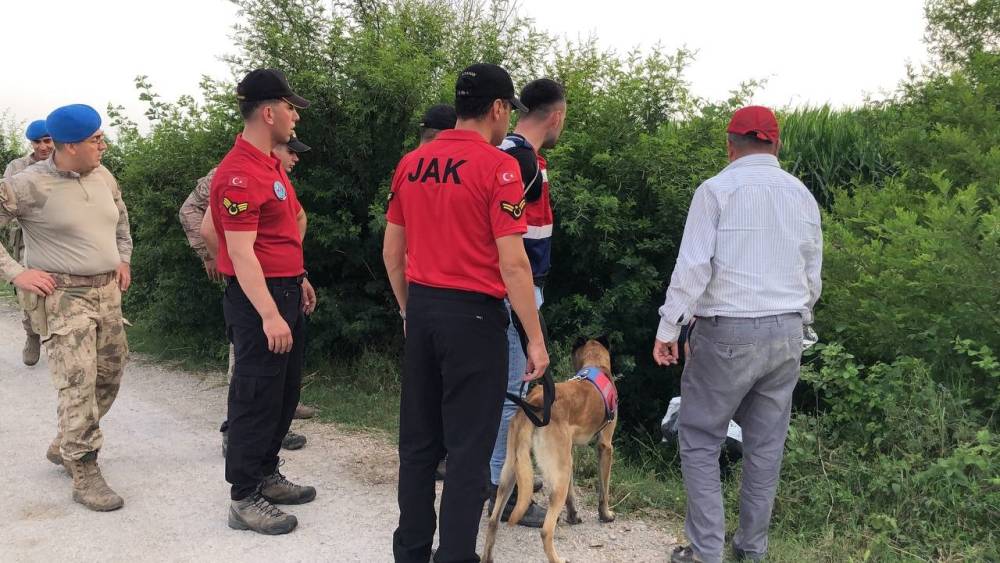 Mısır tarlasında kaybolan bir kişi &ouml;zel eğitimli k&ouml;peklerle aranıyor