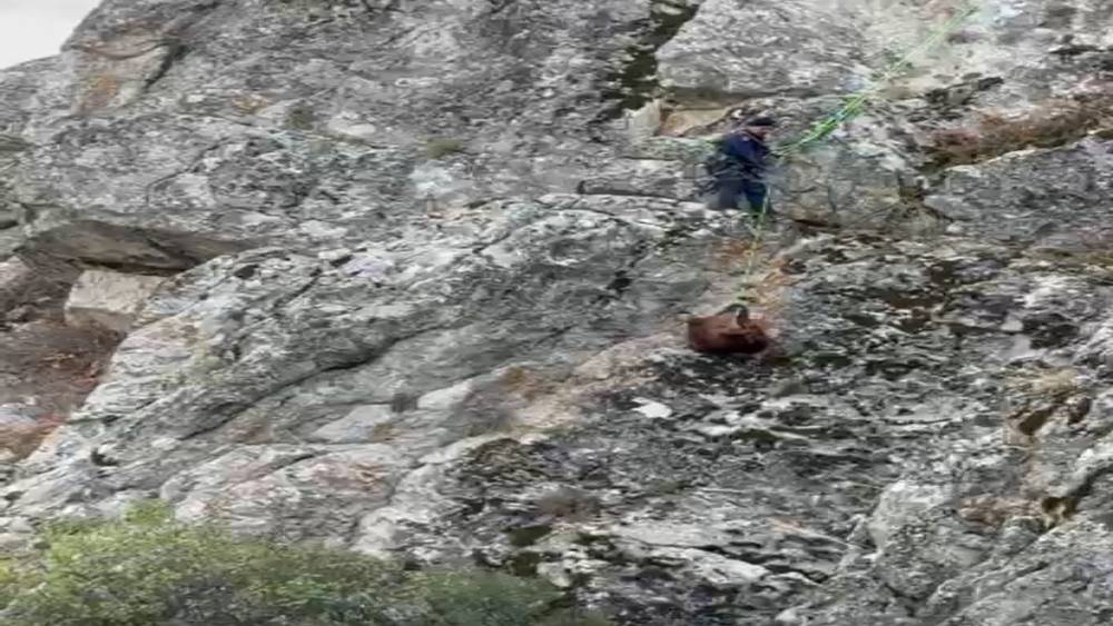 Burdur’da mahsur kalan keçiler ekipler tarafından kurtarıldı