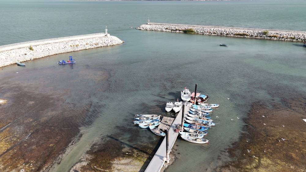 Prof. Dr.  Şahin uyardı: 