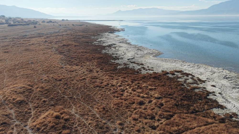 Prof. Dr. Ayşen Davraz: 