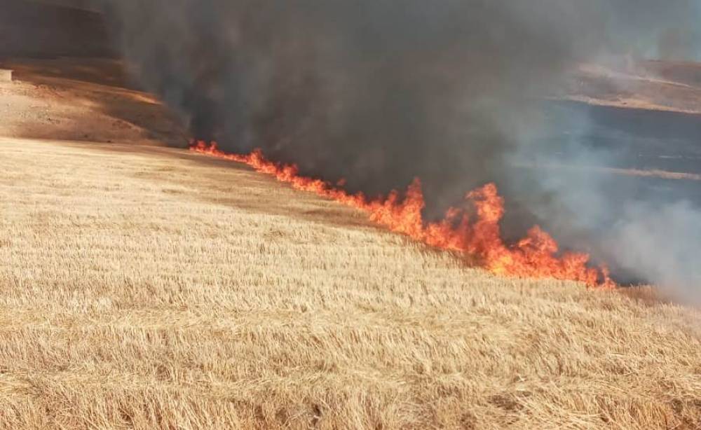 Anız yangınında 2 bin dönüm tarım arazisi zarar gördü  