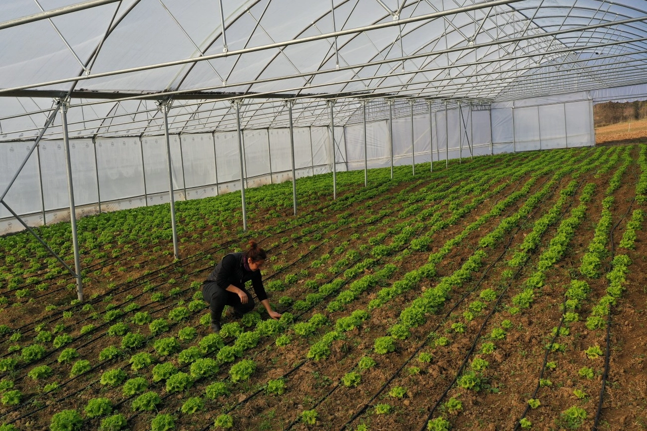 Kocaeli Büyükşehir’den çiftçilere modern sera desteği