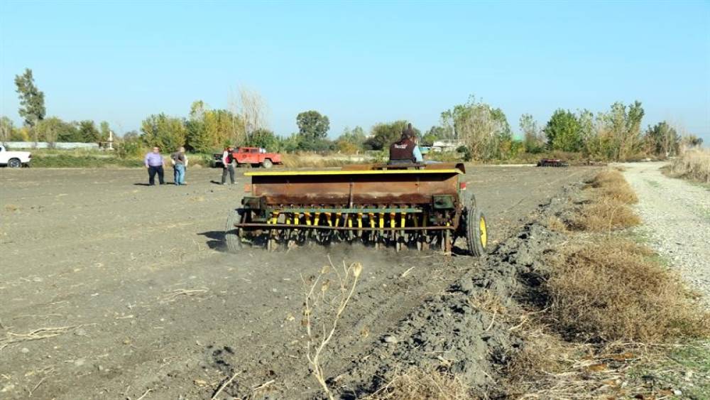 Mera alanları işgalden kurtarılıyor