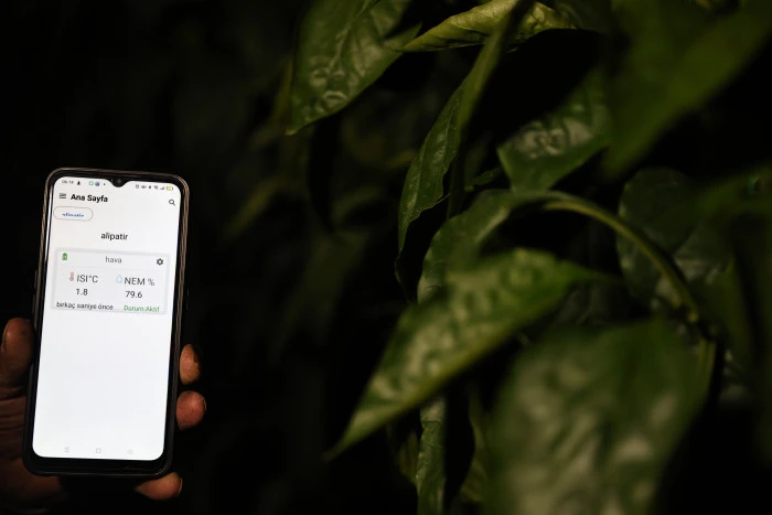 Seralarda dona karşı sıcaklıklar cep telefonundan anlık takip ediliyor