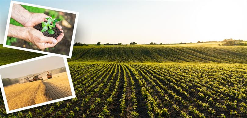 TARIMSAL DESTEKLEME ÖDEMESİ ÇİFTÇİLERİN HESAPLARINA AKTARILDI